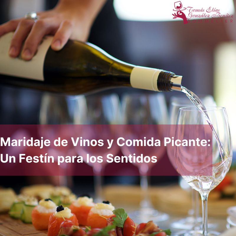 Maridaje de Vinos y Comida Picante Un Festín para los Sentidos