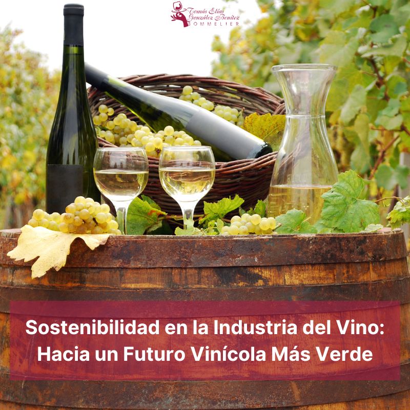 Sostenibilidad en la Industria del Vino Hacia un Futuro Vinícola Más Verde