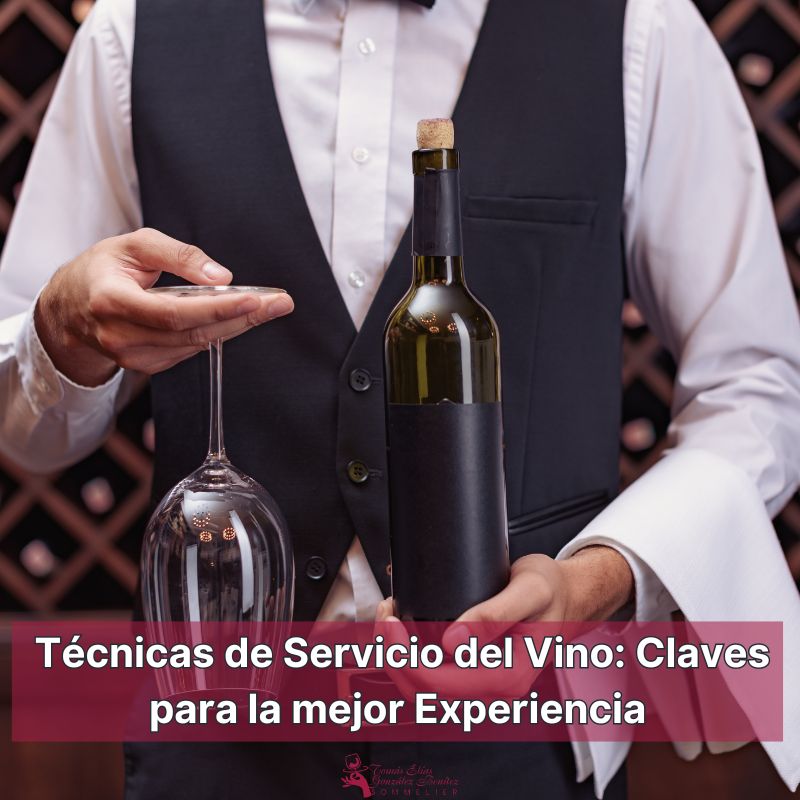 Técnicas de Servicio del Vino Claves para la mejor Experiencia