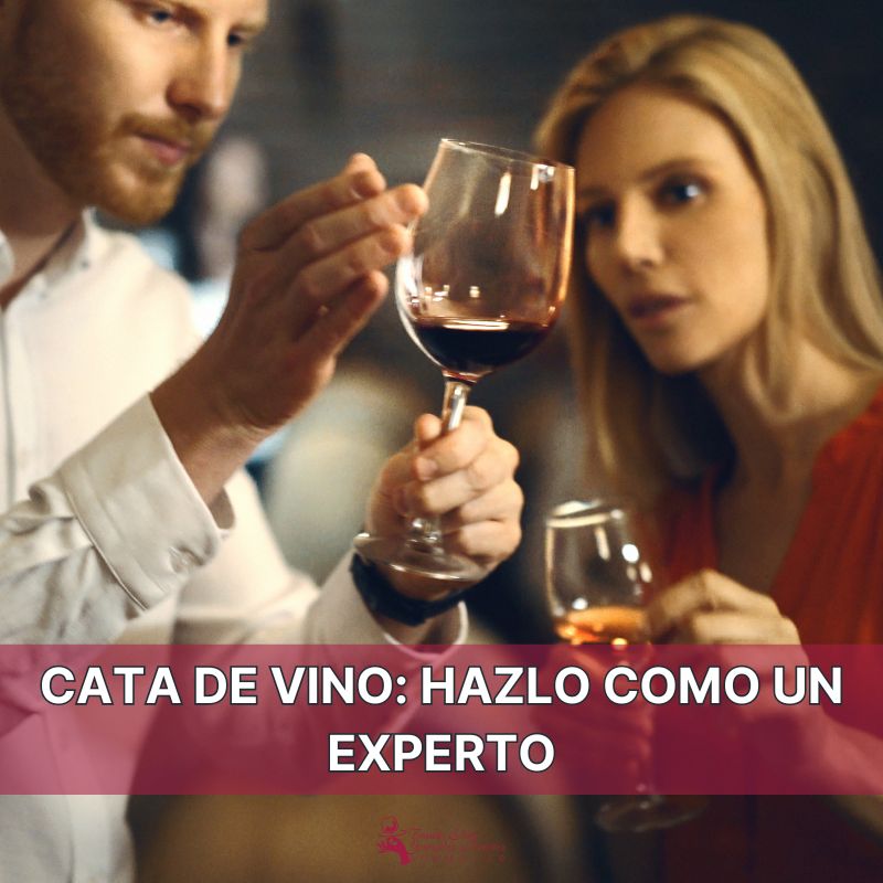 CATA DE VINO HAZLO COMO UN EXPERTO