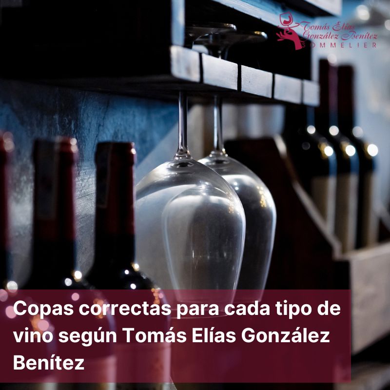 Copas correctas para cada tipo de vino según Tomás Elías González Benítez