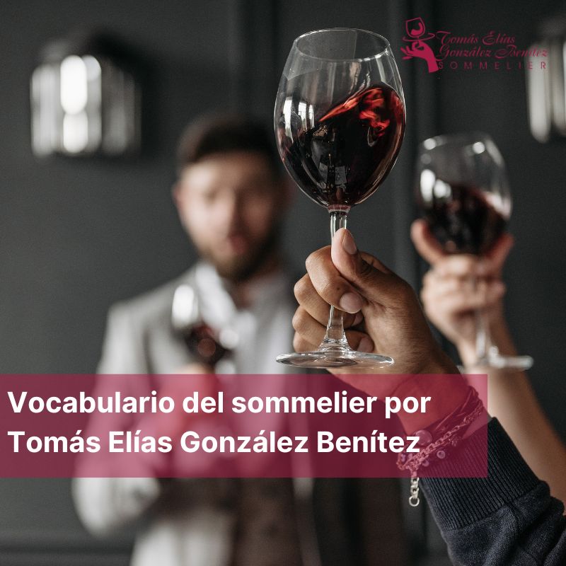Vocabulario del sommelier por Tomás Elías González Benítez