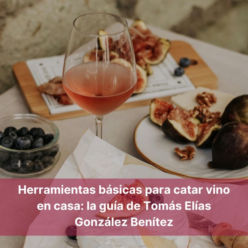 Herramientas básicas para catar vino en casa la guía de Tomás Elías González Benítez