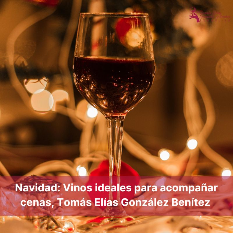 Navidad Vinos ideales para acompañar cenas, Tomás Elías González Benítez